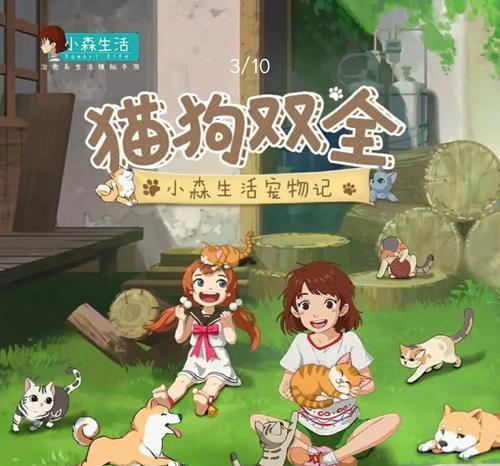 小森生活猫盖饭食谱配方一览？如何在家轻松制作？